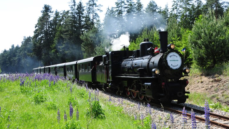 Die Dampflok der Waldviertelbahn, © NÖVOG/knipserl.at